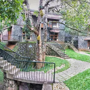 Bed and breakfast Wildernest, Thekkady